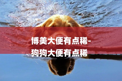 博美大便有點稀-
狗狗大便有點稀