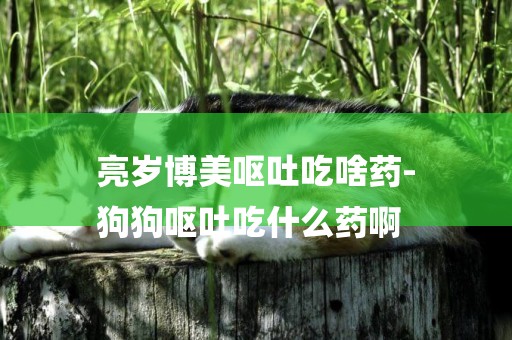 亮歲博美嘔吐吃啥藥-
狗狗嘔吐吃什么藥啊