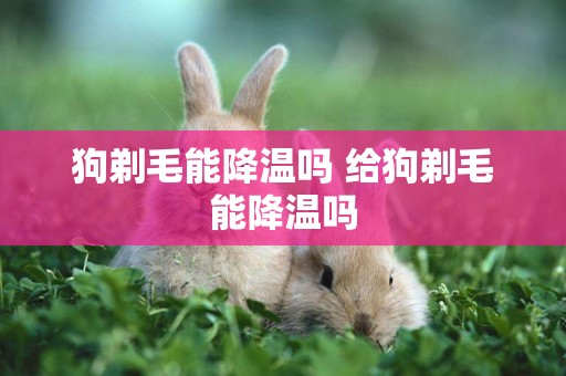 狗剃毛能降溫嗎 給狗剃毛能降溫嗎
