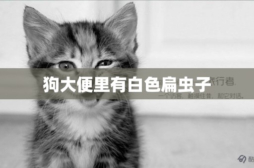 狗大便里有白色扁蟲子