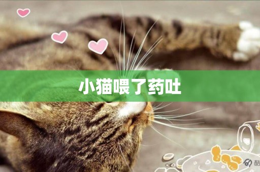 小貓喂了藥吐