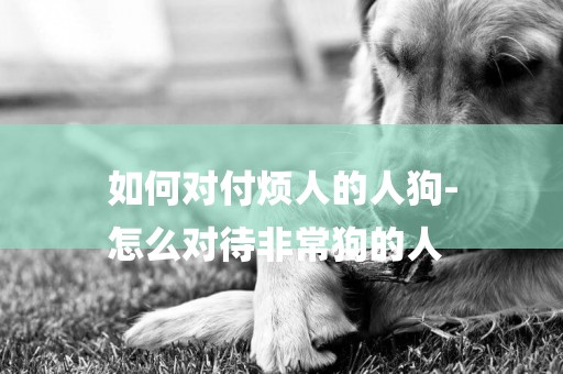 如何對付煩人的人狗-
怎么對待非常狗的人