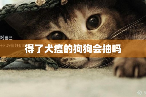 得了犬瘟的狗狗會抽嗎