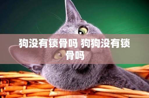 狗沒有鎖骨嗎 狗狗沒有鎖骨嗎