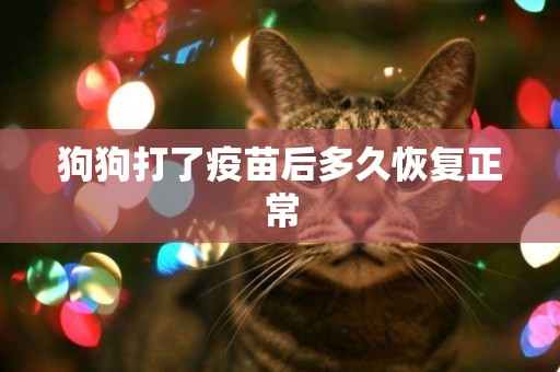 狗狗打了疫苗后多久恢復正常