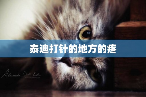 泰迪打針的地方的疼