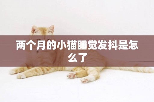 兩個月的小貓睡覺發抖是怎么了