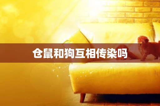 倉鼠和狗互相傳染嗎