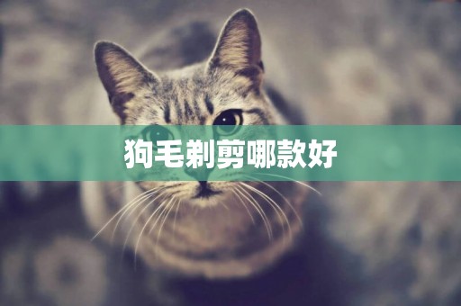狗毛剃剪哪款好