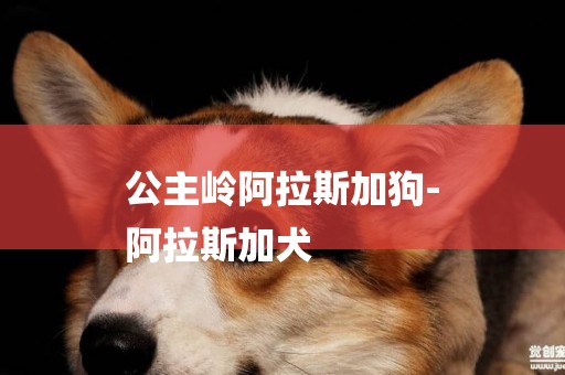 公主嶺阿拉斯加狗-
阿拉斯加犬