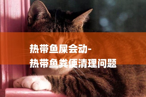 熱帶魚屎會動-
熱帶魚糞便清理問題
