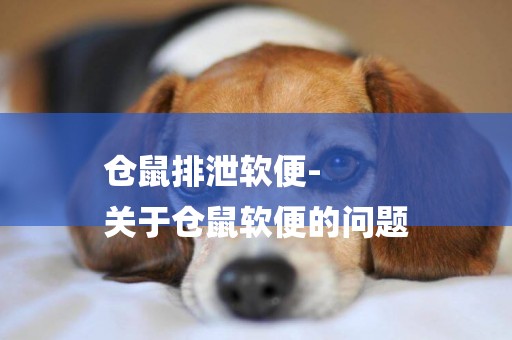倉鼠排泄軟便-
關于倉鼠軟便的問題