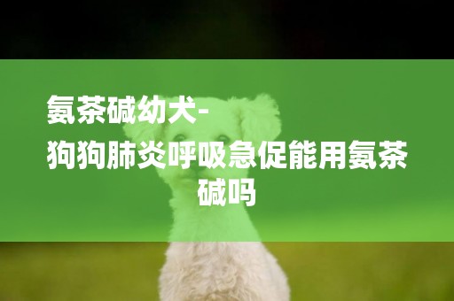 氨茶堿幼犬-
狗狗肺炎呼吸急促能用氨茶堿嗎