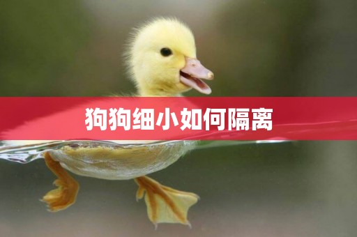 狗狗細小如何隔離