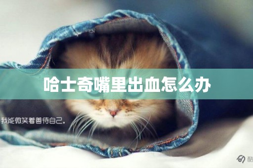 哈士奇嘴里出血怎么辦