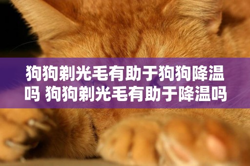 狗狗剃光毛有助于狗狗降溫嗎 狗狗剃光毛有助于降溫嗎