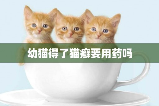 幼貓得了貓癬要用藥嗎
