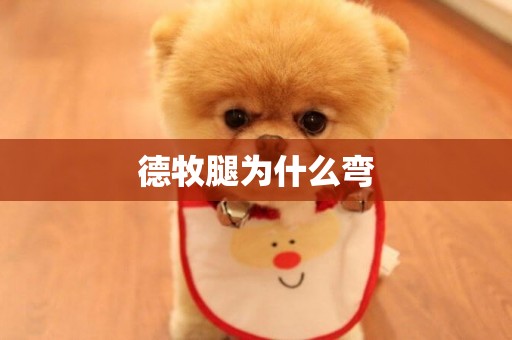 德牧腿為什么彎