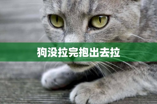 狗沒拉完抱出去拉