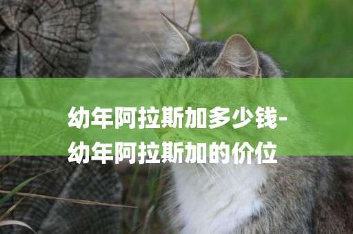 幼年阿拉斯加多少錢-
幼年阿拉斯加的價位