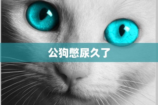 公狗憋尿久了