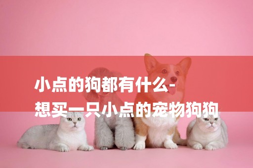 小點的狗都有什么-
想買一只小點的寵物狗狗
