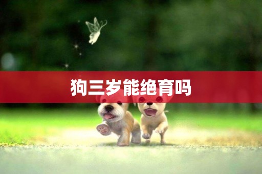 狗三歲能絕育嗎