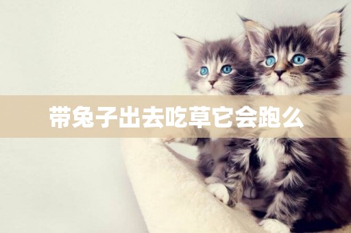 帶兔子出去吃草它會跑么