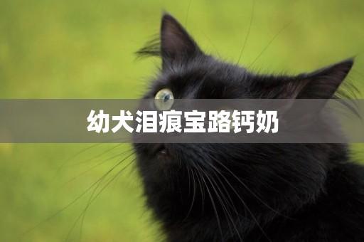 幼犬淚痕寶路鈣奶