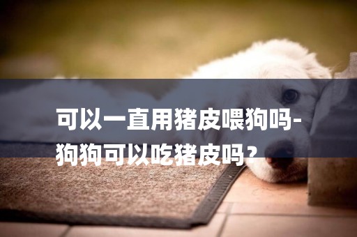 可以一直用豬皮喂狗嗎-
狗狗可以吃豬皮嗎？