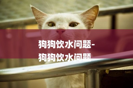 狗狗飲水問題-
狗狗飲水問題
