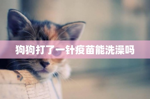 狗狗打了一針疫苗能洗澡嗎