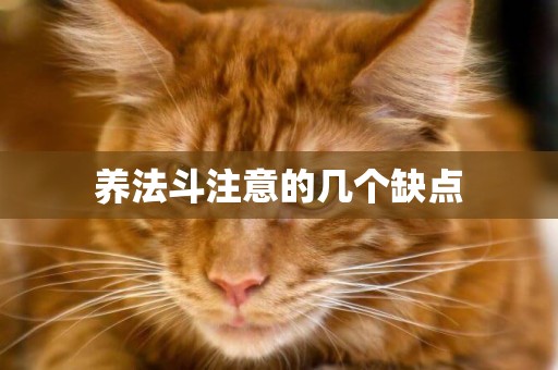 養法斗注意的幾個缺點