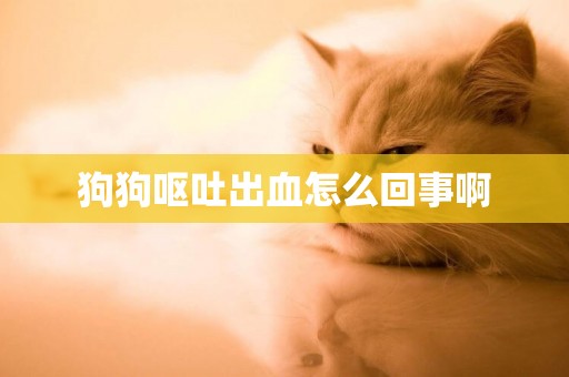 狗狗嘔吐出血怎么回事啊