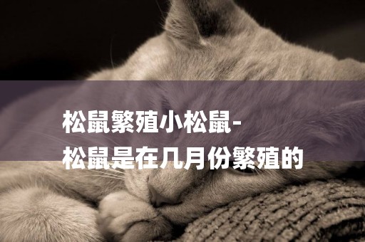 松鼠繁殖小松鼠-
松鼠是在幾月份繁殖的