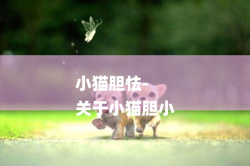 小貓膽怯-
關于小貓膽小