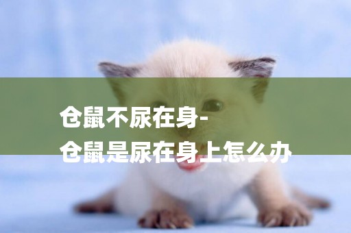 倉鼠不尿在身-
倉鼠是尿在身上怎么辦