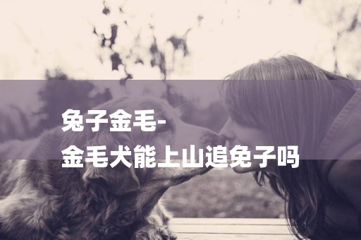 兔子金毛-
金毛犬能上山追免子嗎