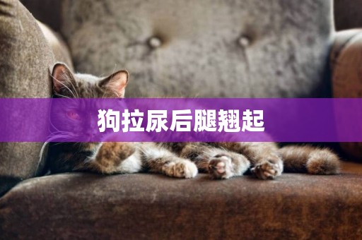 狗拉尿后腿翹起