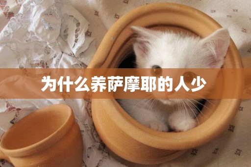 為什么養薩摩耶的人少 