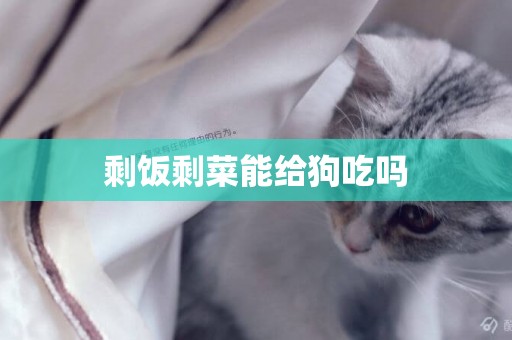 剩飯剩菜能給狗吃嗎