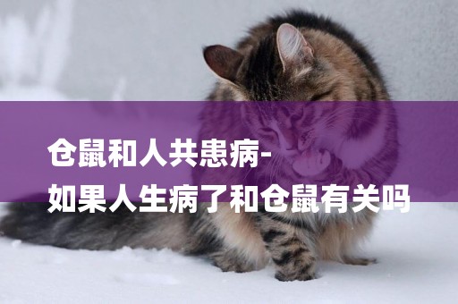 倉鼠和人共患病-
如果人生病了和倉鼠有關嗎