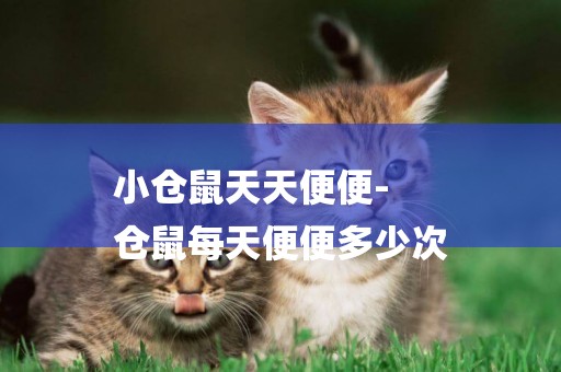 小倉鼠天天便便-
倉鼠每天便便多少次