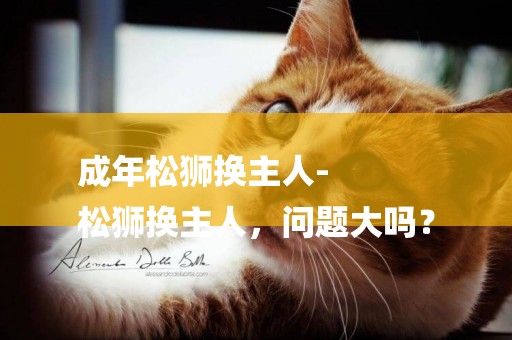成年松獅換主人-
松獅換主人，問題大嗎？