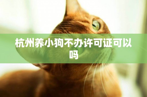 杭州養小狗不辦許可證可以嗎