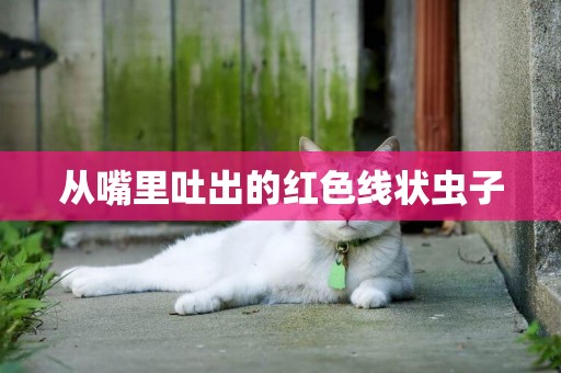 從嘴里吐出的紅色線狀蟲子