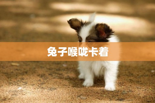 兔子喉嚨卡著