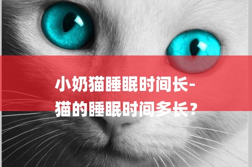 小奶貓睡眠時間長-
貓的睡眠時間多長？