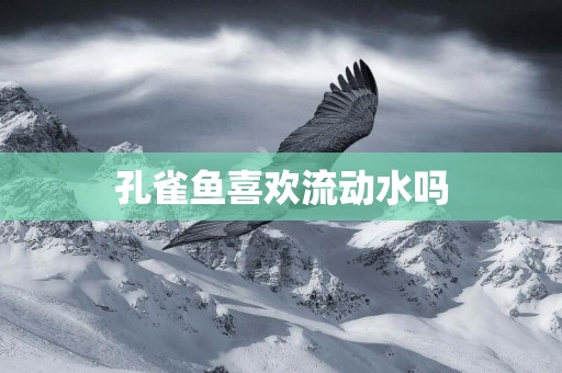 孔雀魚喜歡流動水嗎