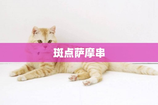 斑點薩摩串